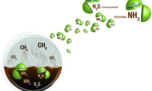 Deuto-Clear Sulfo-Technologie zur effizienten Entfernung von Schwefelwasserstoff (H₂S) und Ammoniak (NH₃) aus Biogas für eine verbesserte Gasqualität.